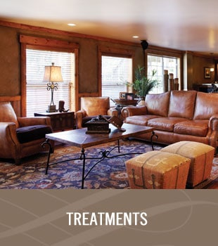 Ellen Kurtz Interiors Services - Treatments